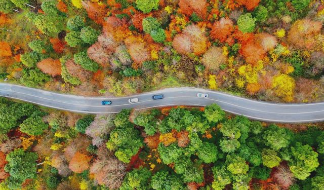 Gölcük Tabiat Parkı'nda mest eden sonbahar görüntüsü