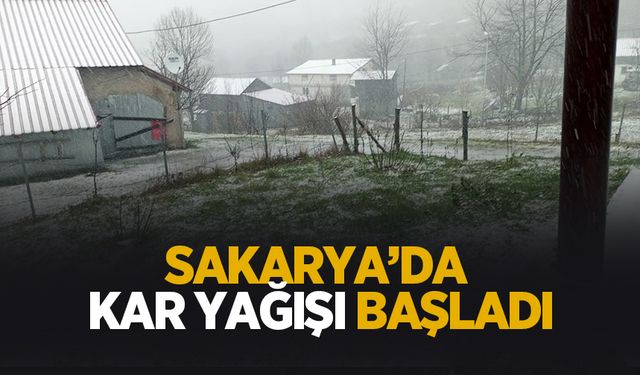 Sakarya'da yüksek kesimlerde kar yağışı başladı