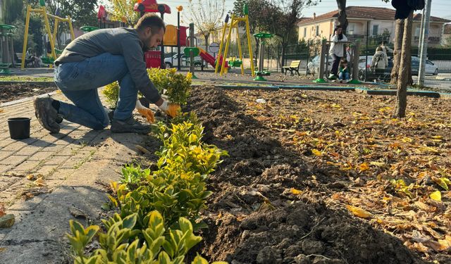 Serdivan'ın yeşil alanları güzelleşiyor