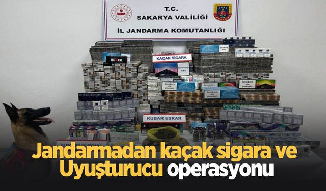 Hendek'te operasyon