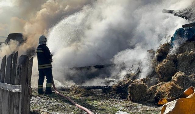 Samanlık ve ahır küle döndü: 3 büyükbaş telef oldu, 17'si kurtarıldı