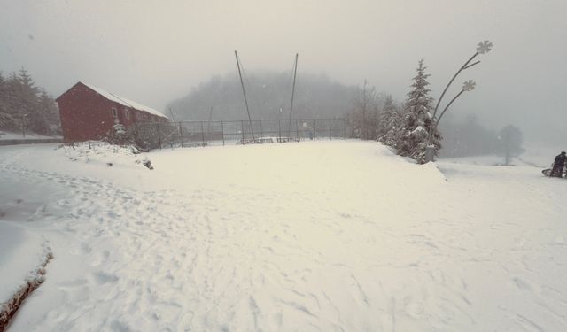 Kartepe'de kar yağışı etkili oluyor