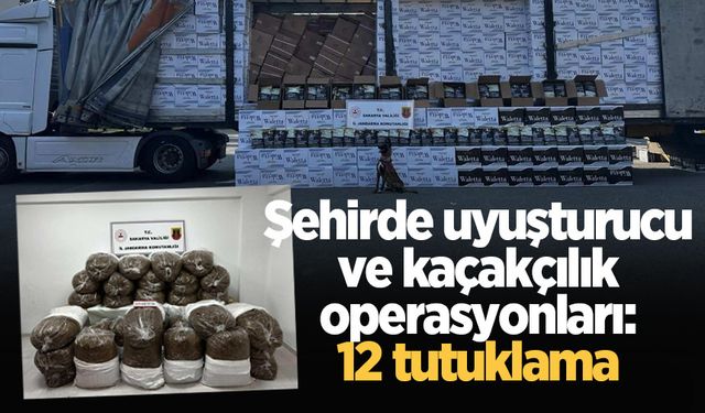 Sakarya'da uyuşturucu ve kaçakçılık operasyonları: 12 tutuklama