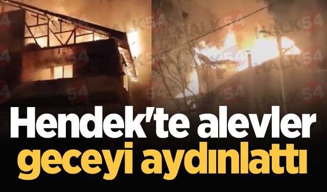 Hendek'te alevler geceyi aydınlattı