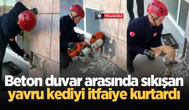 Beton duvar arasında sıkışan yavru kediyi itfaiye kurtardı