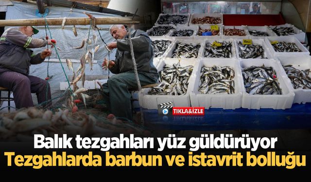 Balık tezgahları yüz güldürüyor: Tezgahlarda barbun ve istavrit bolluğu