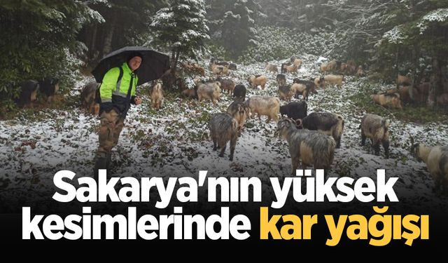 Sakarya'nın yüksek kesimlerinde kar yağışı