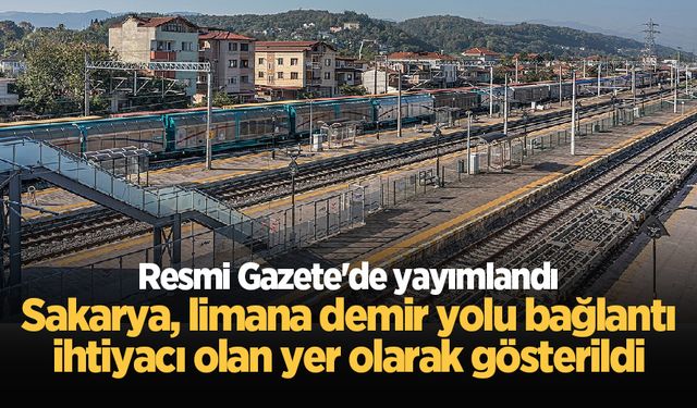 Resmi Gazete'de yayımlandı: Sakarya, limana demir yolu bağlantı ihtiyacı olan yer olarak gösterildi