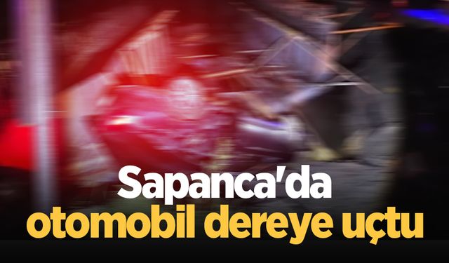 Sapanca'da otomobil dereye uçtu