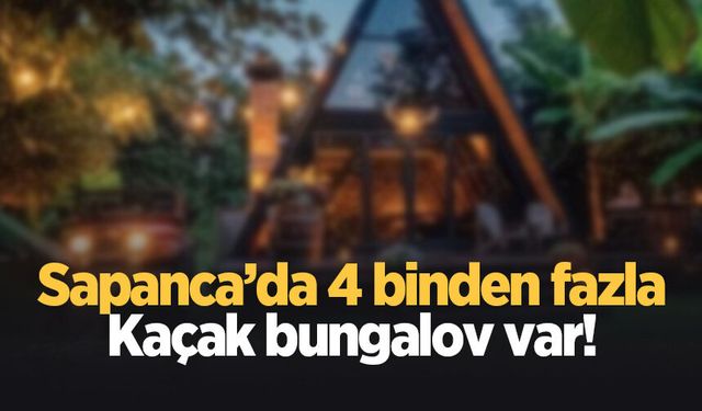 Sapanca'da 4 binden fazla bungalovdan 400'ü ruhsatlı!