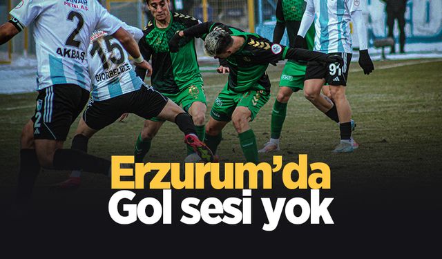 Sakaryaspor Erzurum'da dondu!