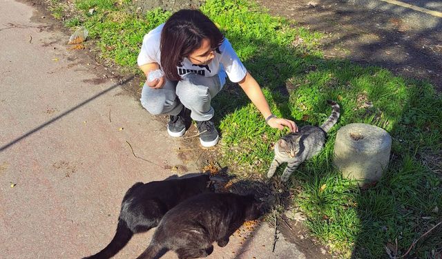 Sokak hayvanları için mama dağıttılar