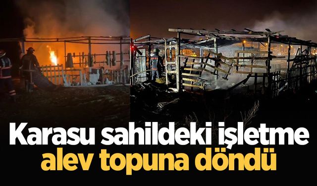 Karasu sahildeki işletme alev topuna döndü