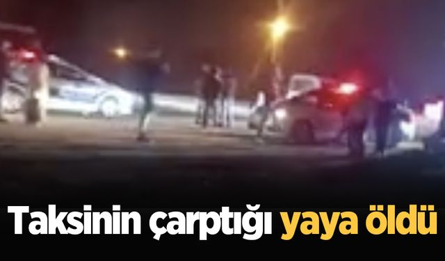 Ticari taksinin çarptığı yaya öldü