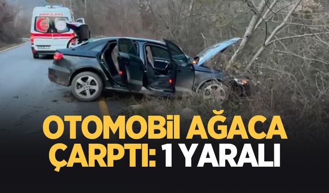 Otomobil ağaca çarptı: 1 yaralı