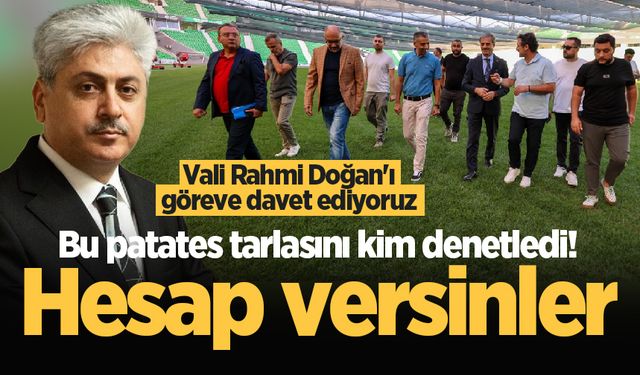 Bu patates tarlasını kim denetledi! Hesap versinler