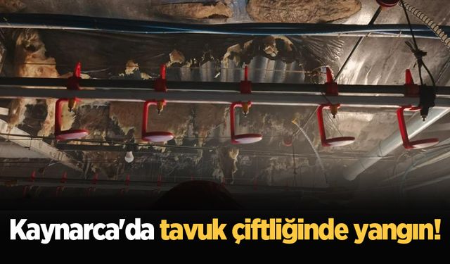 Kaynarca'da tavuk çiftliğinde yangın!