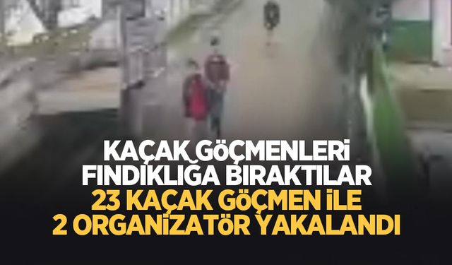 Kaçak Afganları fındıklığa bıraktılar