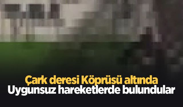 Çark Köprüsü altında uygunsuz hareketlerde bulundular