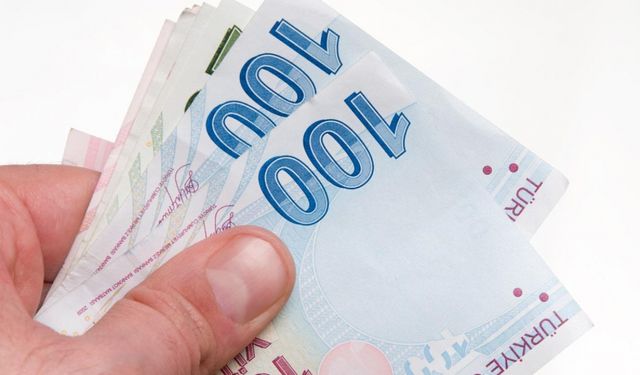 100 TL ve 10 TL’lik yeni banknotlar tedavüle verildi