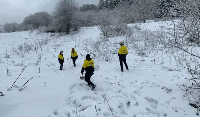 Kayıp kadını arama çalışmaları kar altında sürüyor