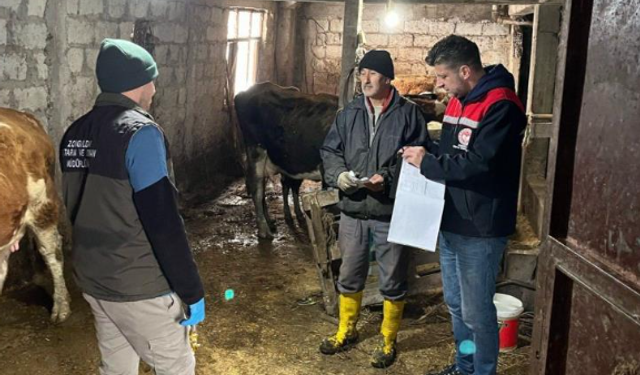 Şap nedeniyle bir köy karantinaya alındı