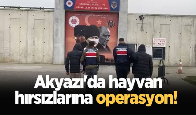 Akyazı'da hayvan hırsızlarına operasyon!