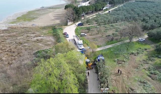 Devlet arazisine yapılan bağ ve bahçeler kaldırıldı