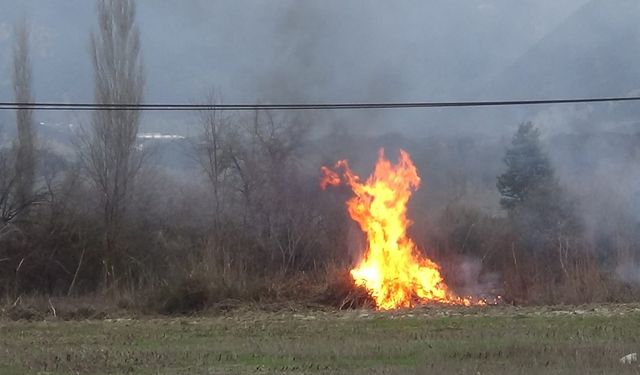 Kuru otlar alev aldı, rüzgarın etkisiyle yangın büyüdü