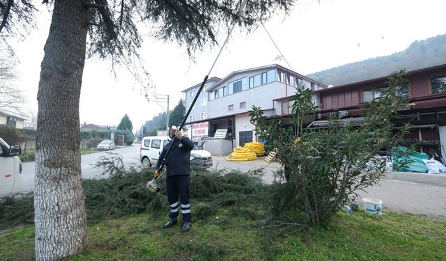 Sapanca Belediyesi’nden İlçeye bahar bakımı