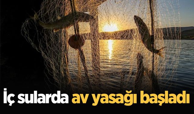 Sakarya’da iç sularda av yasağı başladı