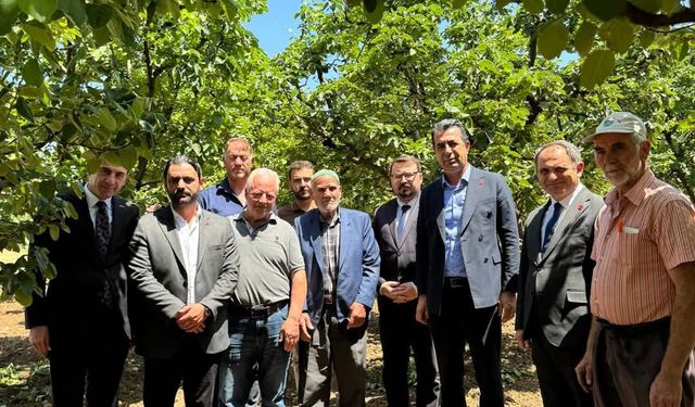 CHP Parti Meclisi Üyesi Ecevit Keleş: "Don felaketinin yaralarını birlikte saracağız"