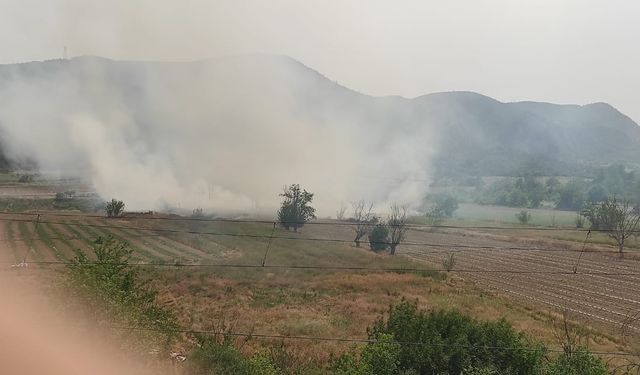 Komşuda anız yangını