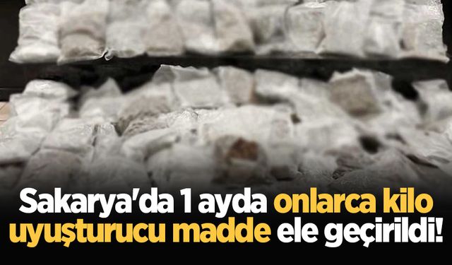 Sakarya'da 1 ayda onlarca kilo uyuşturucu madde ele geçirildi!