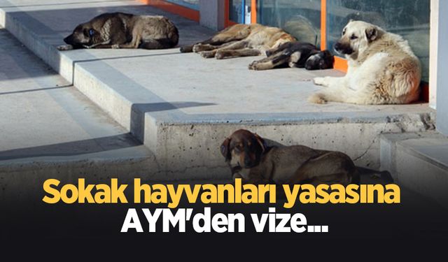 AYM'den sokak hayvanları düzenlemesi kararı