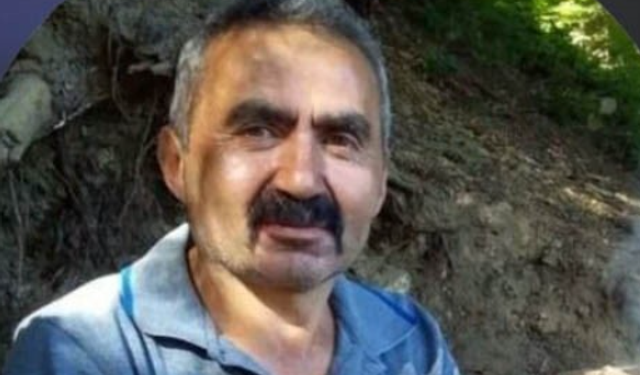 Kestiği ağaç sonu oldu