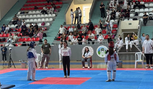 Akyazı’da Taekwondo rüzgarı esti!