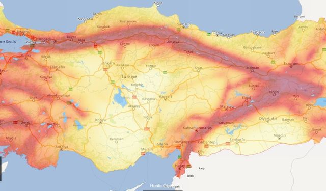 AFAD 485 diri fayı açıkladı! Sakarya en tehlikeli bölgede...