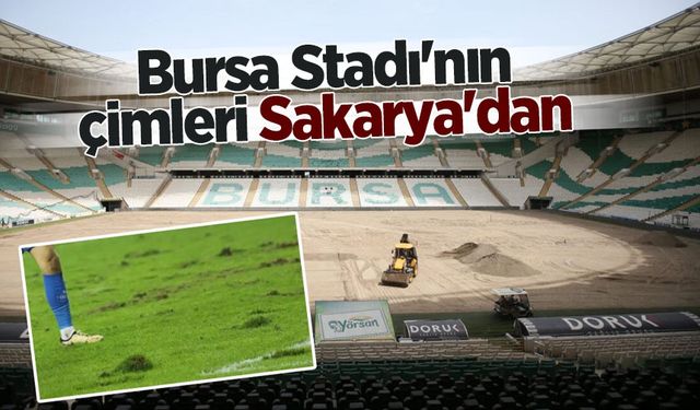 Bursa Stadı'nın çimleri Sakarya'dan