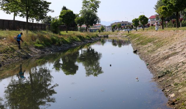 Çark Deresi’nin içi ve çevresi hummalı şekilde temizlendi