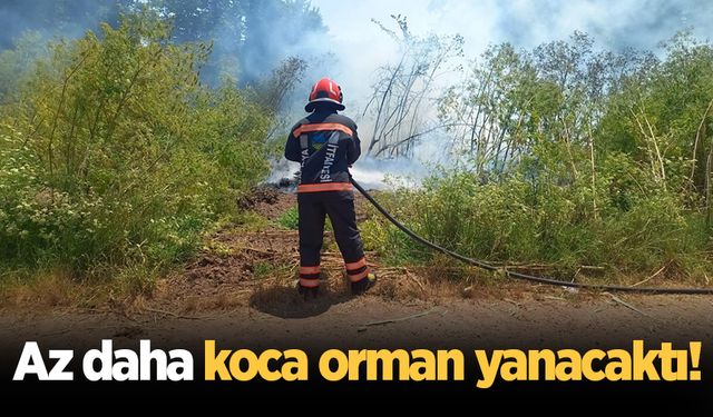 Kaynarca'da orman yangını
