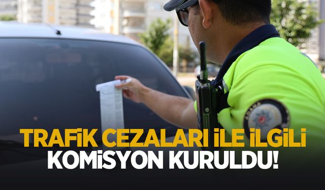 Trafik cezalarına ilişkin komisyon kuruldu