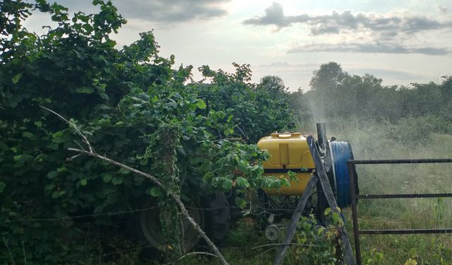 Karapürçek’te kokarca ile mücadele tüm hızıyla sürüyor