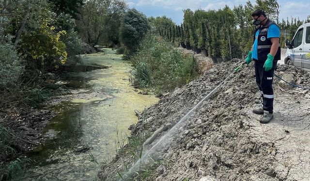 Büyükşehir her köşe başında: Dere yatakları, kanallar, bataklıklar ve göletlere tek tek ulaşıyorlar