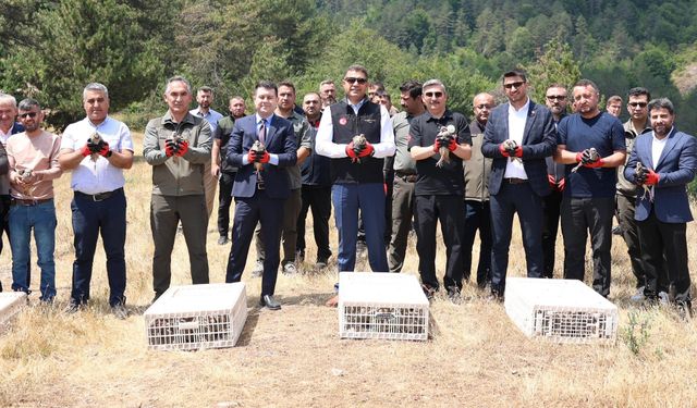 500 keklik doğaya salındı