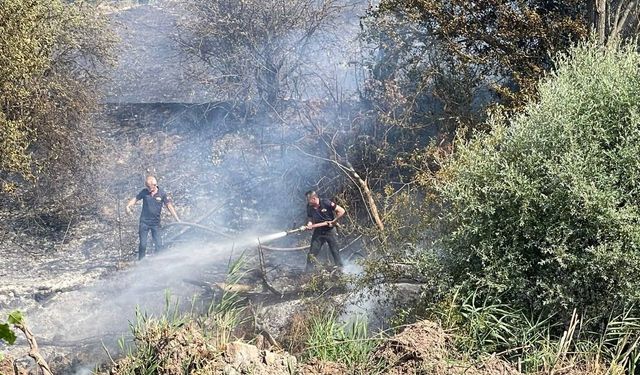 Orman yangında soğutma çalışmaları sona erdi