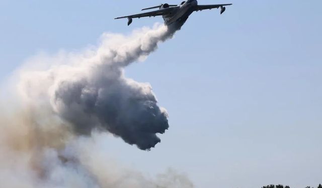 Gebze'de çıkan orman yangını kontrol altına alındı