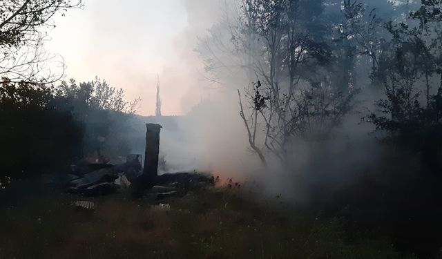 Mudurnu'daki orman yangını kontrol altına alındı