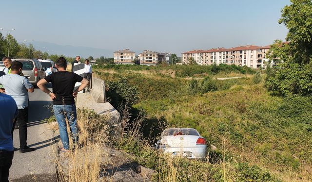Kontrolden çıkan otomobil tarlaya uçtu 1 kişi yaralandı