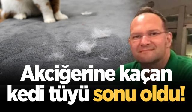 Akciğerine kaçan kedi tüyü sonu oldu!